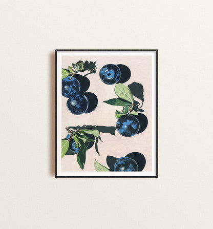 Blueberries Print